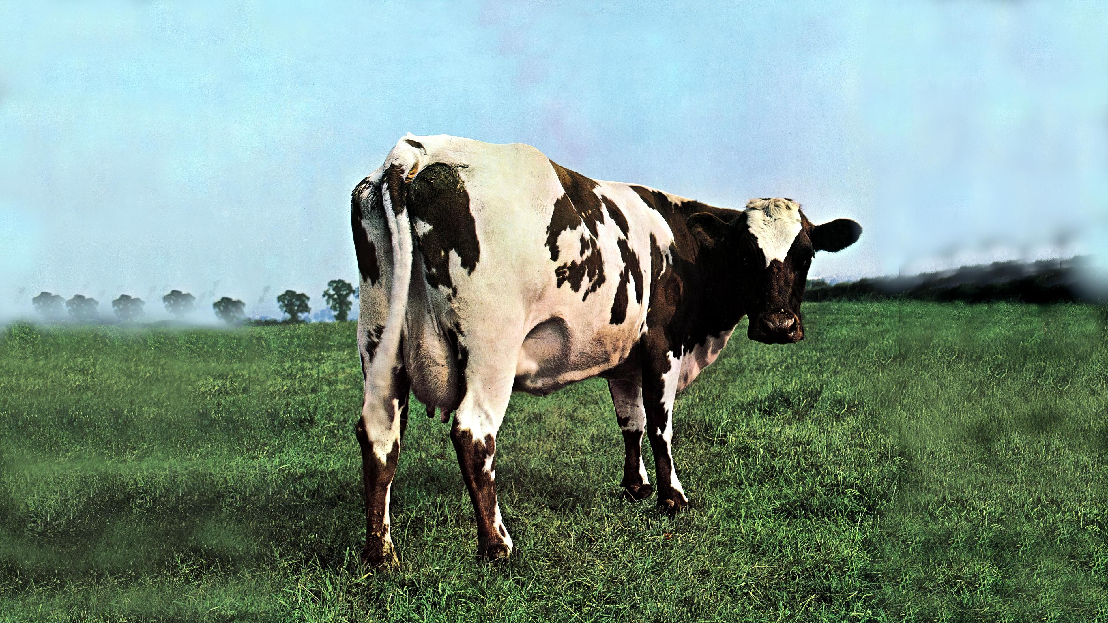 Atom Heart Mother': el álbum que Pink Floyd odiaba | Garaje del Rock